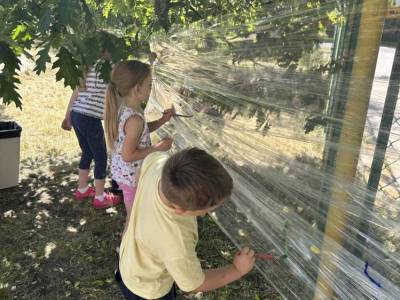 349769780_793445209073047_4059548204199041586_n