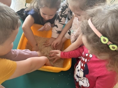 332292798_526585826283922_1742289066877149279_n