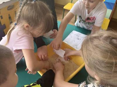 333253896_732592181638242_4145315932512731183_n