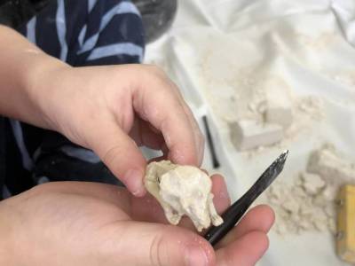 332508774_215738130924829_7845481887554475961_n