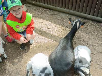 343469230_787925726343700_2314566013678591639_n