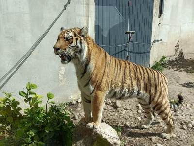 345143064_1963052767383888_6036097243192704826_n