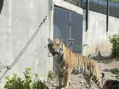 349215119_1170423813654065_1482404556075781845_n