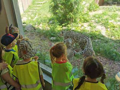 349222691_960495395100306_6803846608928644549_n