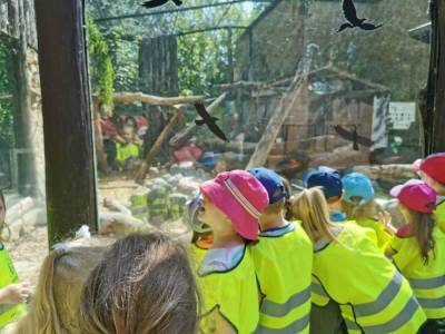 349254672_727587709367512_6158456493955910511_n