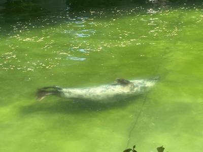 349434254_609976031195014_6824240903040590008_n