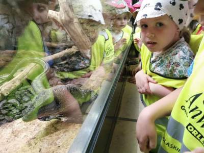 350212509_300010495682476_4968035585221589042_n