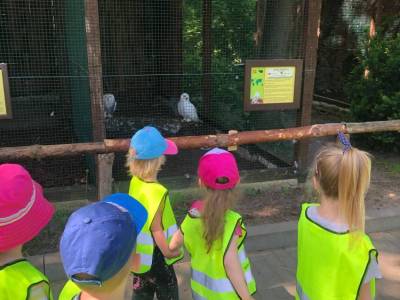 350285376_1303428557246731_2418798785014161507_n