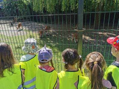 350293346_701466761781415_790662496776840533_n