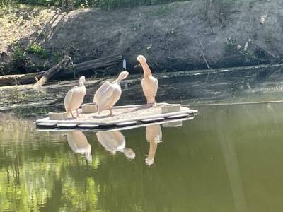 350347300_621132416705690_5632190387734742646_n