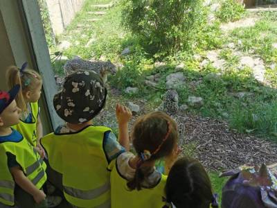 350356982_1739916043128695_3100481039652773997_n