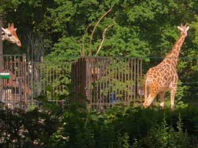 350356995_1346422982883374_6547394126248890408_n