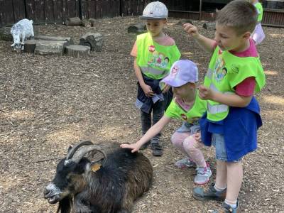 350357479_801730021509554_3580518314159307747_n