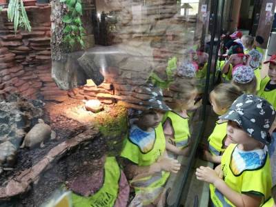 350359911_926656205084271_1826594096649038006_n