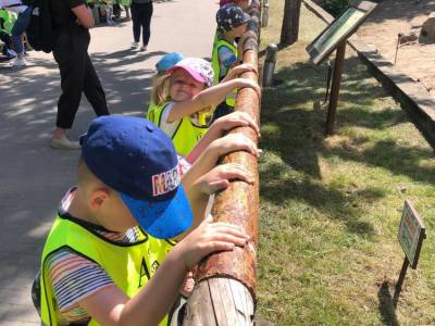 350362356_1364304347462676_2685764917161195269_n