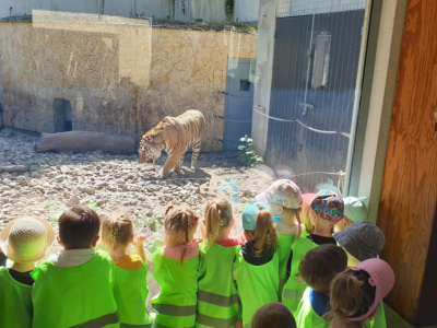 350362996_1256598628292411_7354790367622432606_n