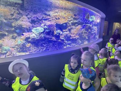 350368767_251818550771608_4703188989819534212_n