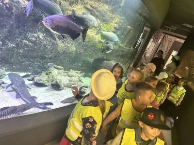 350370309_200112222498913_1299956008677218503_n