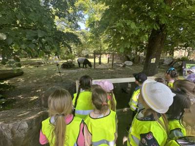 350373579_790728832449921_6527136516083189719_n