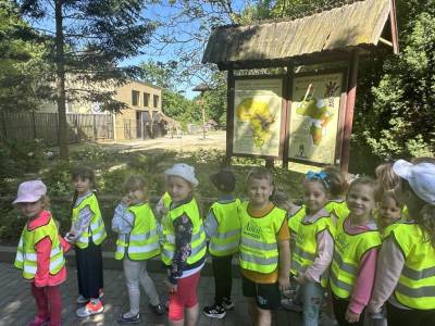 350373579_996518971713264_2119499843446792928_n