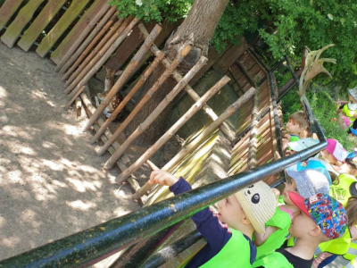 350378978_1208497763198617_4102606136709374739_n