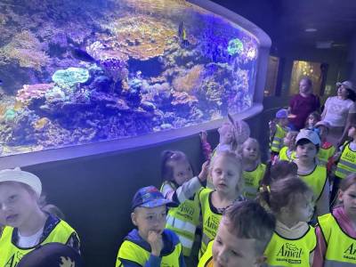 350383648_784008636566623_7552122648263139491_n