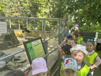 350385226_2472925726203707_7098467040060995379_n