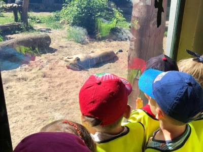 350388944_1199602787335448_5013782101672197762_n