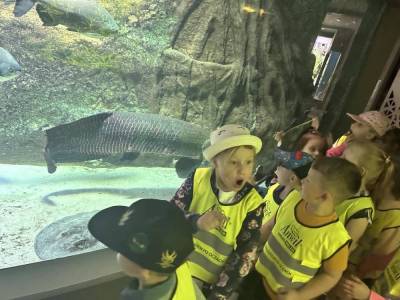 350389217_953734722625618_5156609356681233427_n