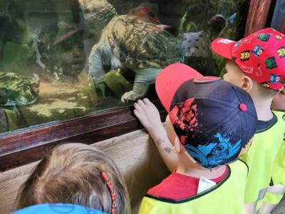 350645776_1883751452024924_1778580935082236141_n