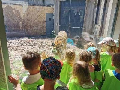 350649194_274221381725408_7862534239952624380_n