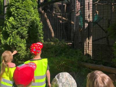 350712685_642338717368489_4679109058163786685_n