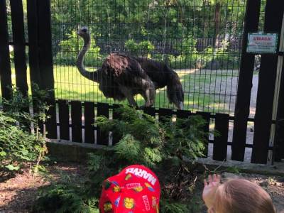 350717806_1119110662810447_2227374263496390415_n