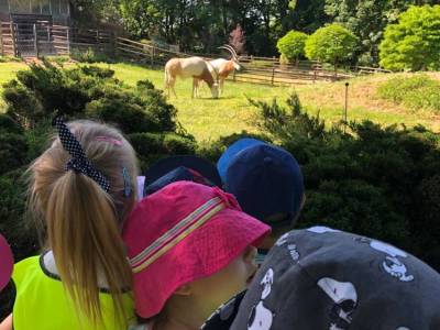 350737079_558602679686171_3725840377139028211_n