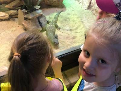 350760908_707653164495639_2763622248743097988_n