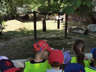 350760912_1294201741506191_4678153143201216001_n