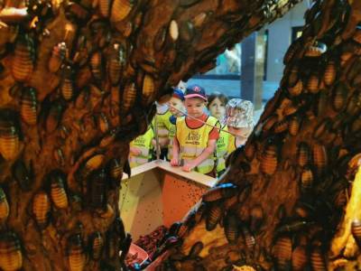 350773589_729690462176328_6788081369477255252_n