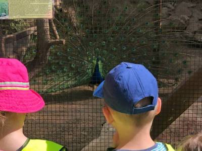 350787330_2917905811673473_3983035818999048191_n