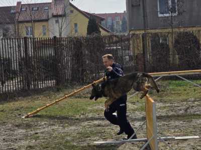 Zdjecie-WhatsApp-2025-03-25-o-12.00.06_3584b203