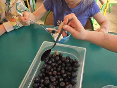 Zdjecie-WhatsApp-2025-04-02-o-12.19.56_77746bb4