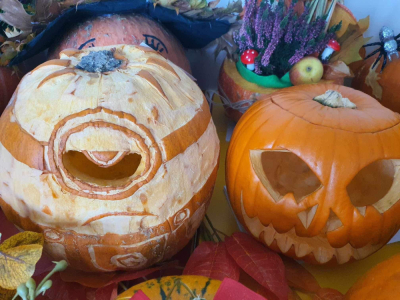 396190598_792004149395378_4039714386798134347_n