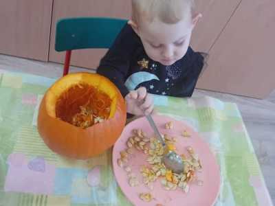 Zdjecie-WhatsApp-2024-10-30-o-13.20.25_07f07488