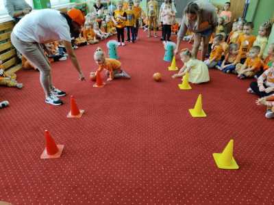 Zdjecie-WhatsApp-2024-10-30-o-13.30.23_3b2de025