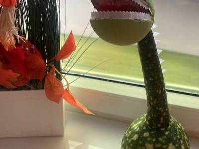 Zdjecie-WhatsApp-2024-10-30-o-14.26.23_ed573bf3