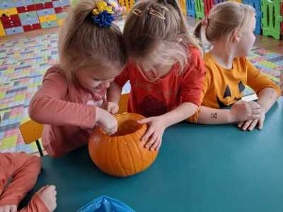 Zdjecie-WhatsApp-2024-10-30-o-20.59.12_abf342cd