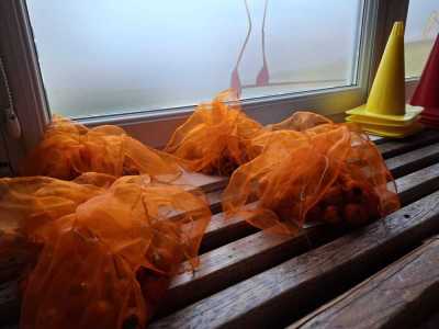 Zdjecie-WhatsApp-2024-10-30-o-20.59.13_6b0b4328