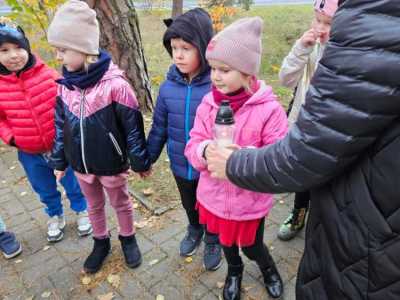 Zdjecie-WhatsApp-2024-10-31-o-15.33.57_42ddd011