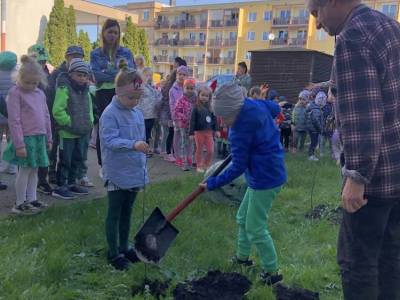 342356284_195965189875852_2922486888142279926_n