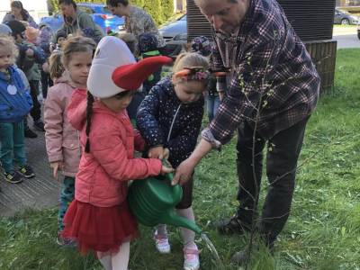 342367873_958631725570534_3811513340248734996_n