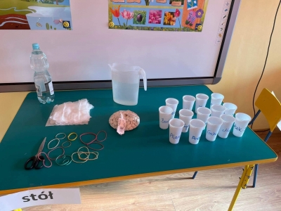 336121687_511149527661714_2537712008278072827_n